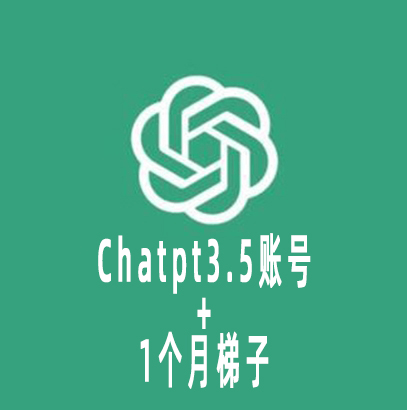 新手套餐-Chatgpt3.5人工注册个人永久独享账号+1个月稳定梯子(100G流量）